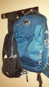 daybag